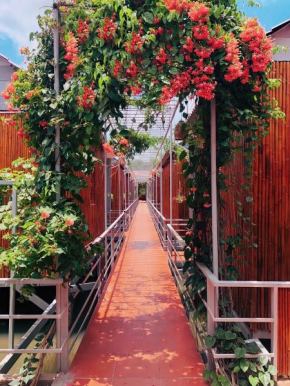 Cato Homestay